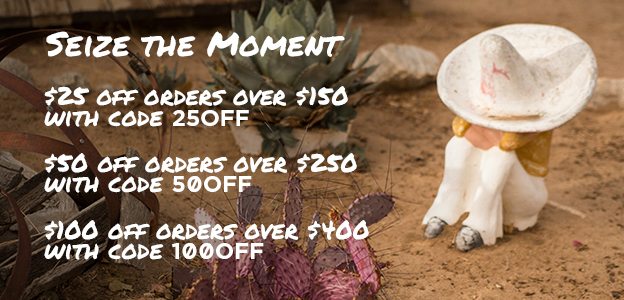 Seize the moment - up to $100 off