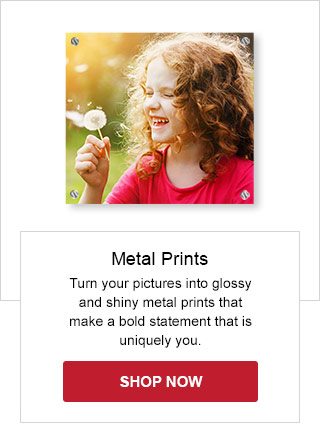 Metal Prints