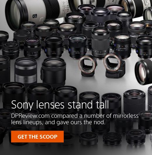 Sony lenses stand tall | DPReview.com compared a number of mirrorless lens lineups, and gave ours the nod. | GET THE SCOOP