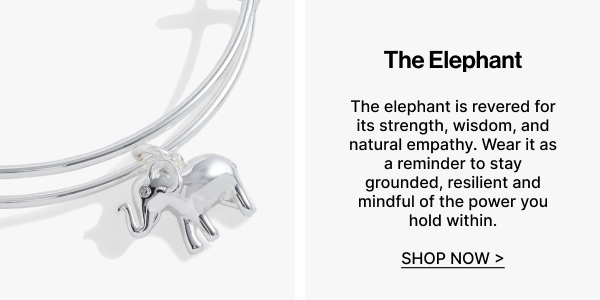 The Elephant