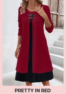 Wine Red Fake 2in1 A Line Dress