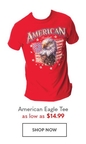 American Eagle Tee as low as $14.99