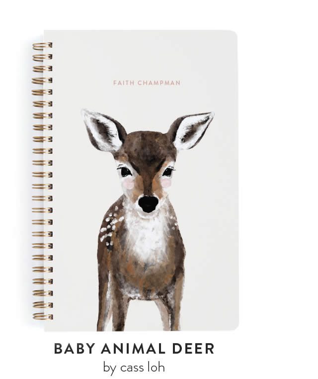 Baby Animal Deer