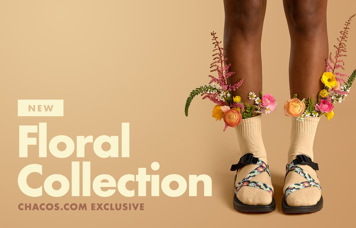 Just bloomed new Z Sandals Chaco Email Archive