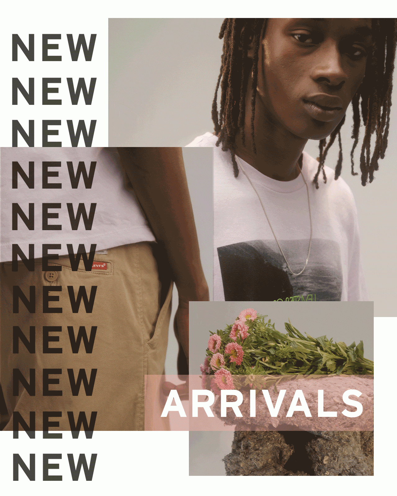 New Arrivals