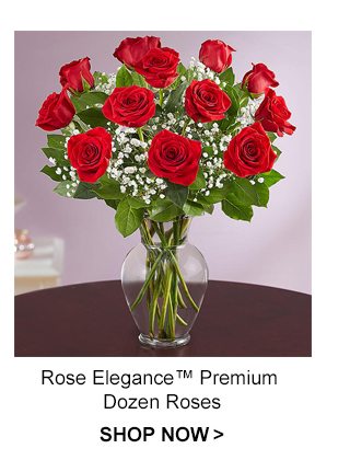 Rose Elegance Dozen Roses