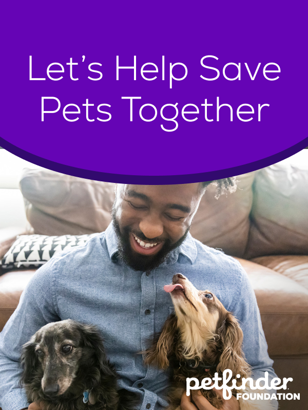 Let’s Help Save Pets Together. Petfinder Foundation.