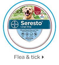 Flea & tick.