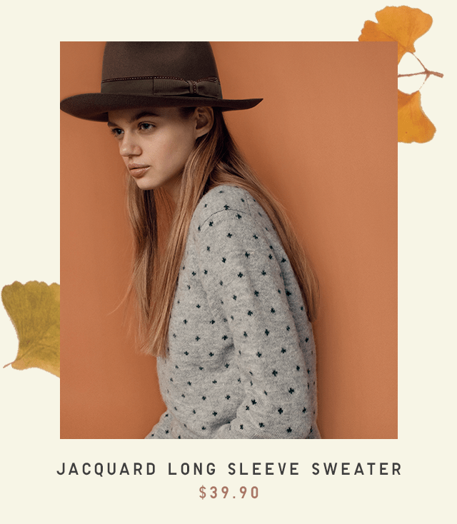 JAQUARD LONG SLEEVE SWEATER $39.90