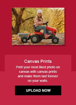 Canvas Prints