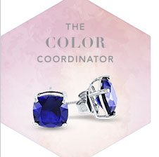 The Color Coordinator