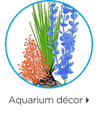 Aquarium décor.