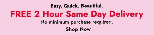 FREE 2 HOUR SAME DAY DELIVERY - No minimum purchase! - Shop Now