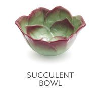 Succulent Bowl