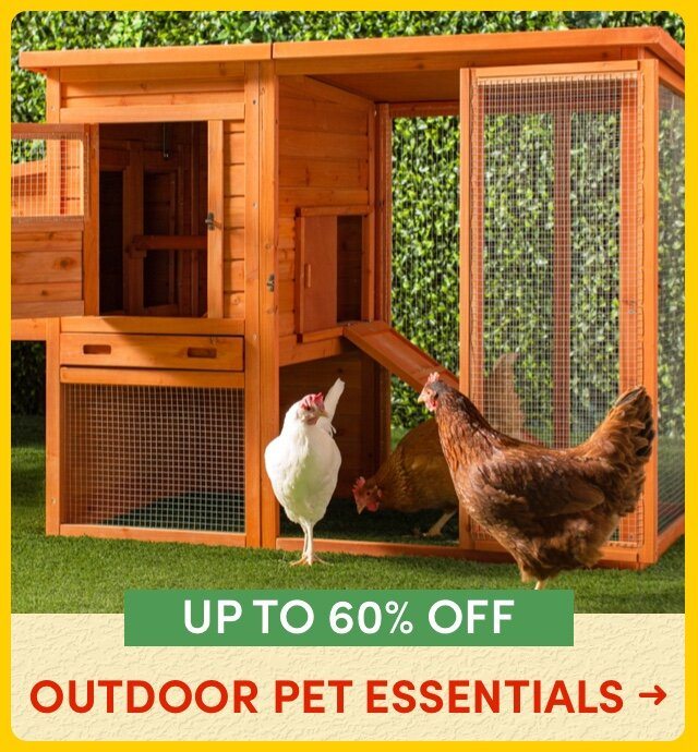 Outdoor Pet Essentials