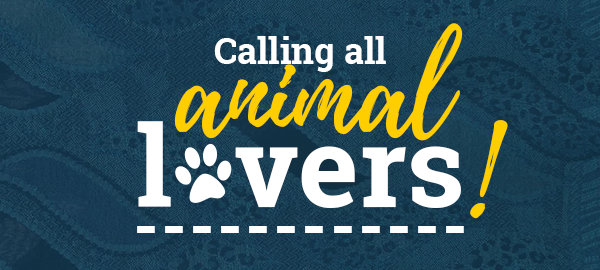 Calling all animal lovers!