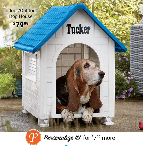 Indoor/Outdoor Dog House $79.99 Personalize it for $7.99 more!