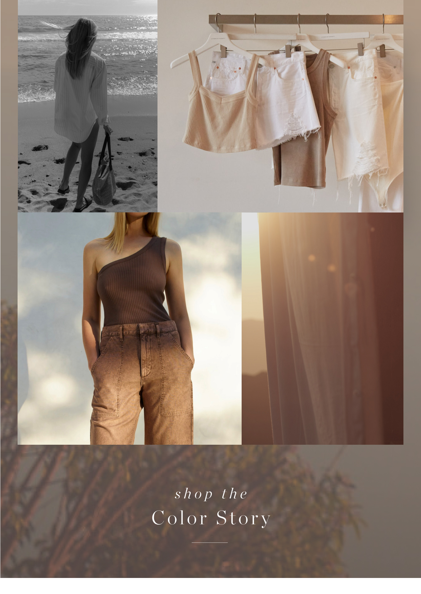 Sunset Hues