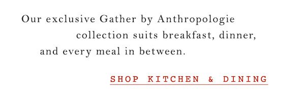 Shop kitchen and dining.