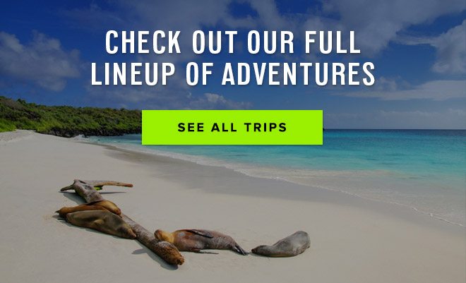 Check out Our Full Lineup of Adventures - See All Trips