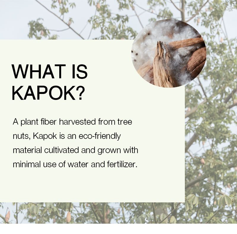 What Is Kapok?