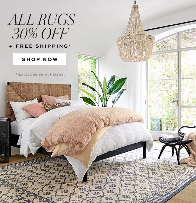 ALL RUGS 30% OFF + FREE SHIPPING