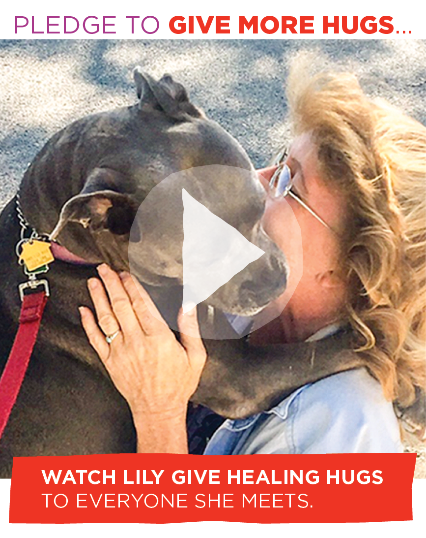 Watch Lily the hugging dog