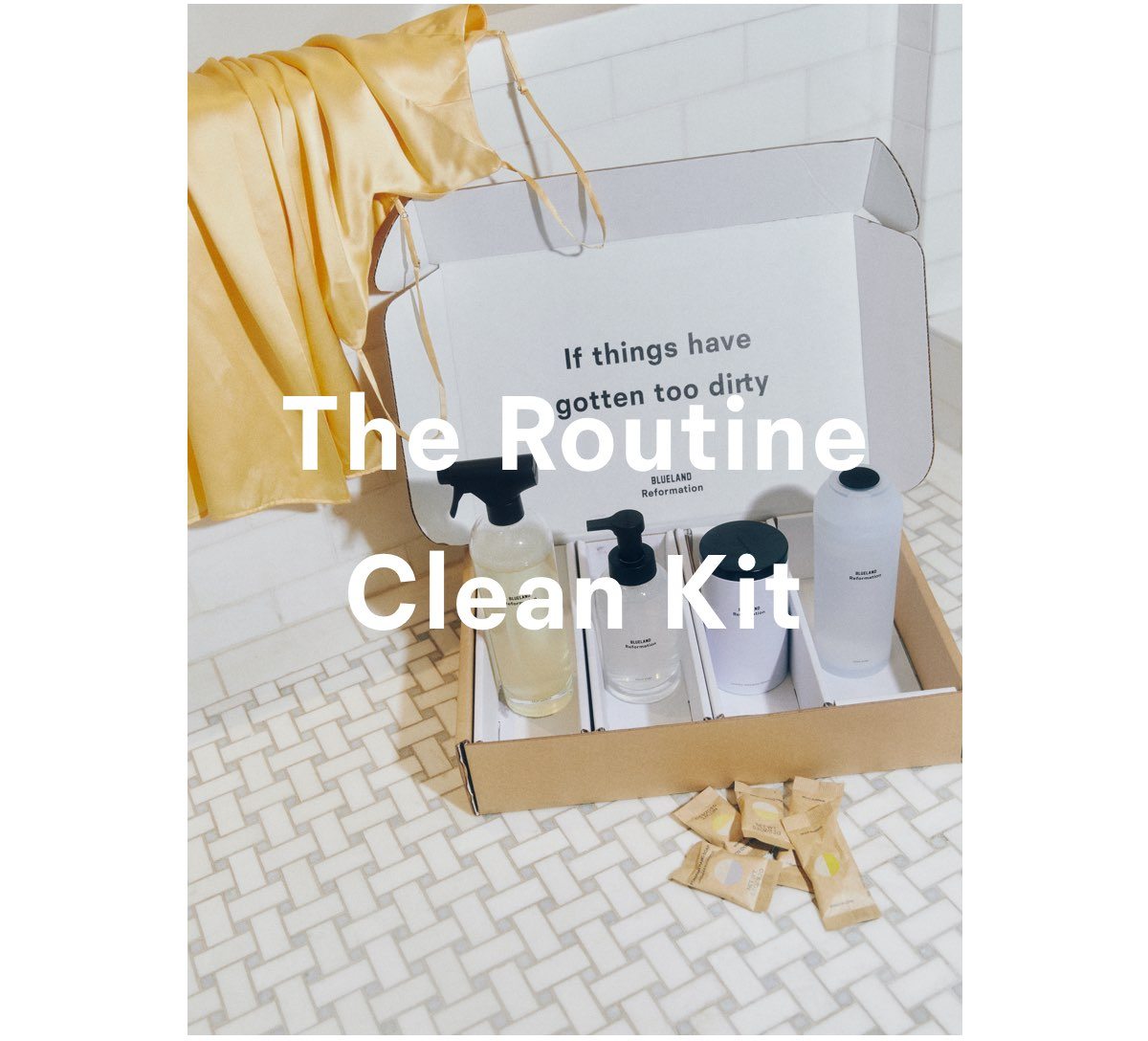 The Routine Clean Kit