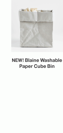 NEW! Blaine Washable Paper Cube Bin