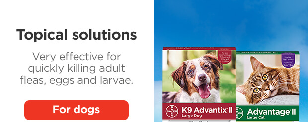 Topical solutions. Very effective for quickly killing adult fleas, eggs and larvae. For dogs.