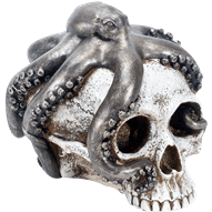 Octopus Skull