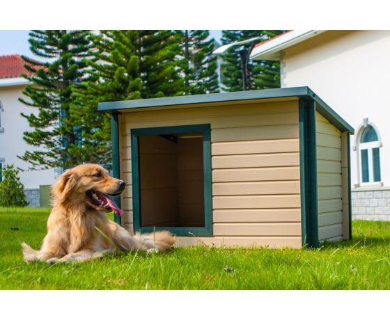 New Age Pet® Outdoor Houses