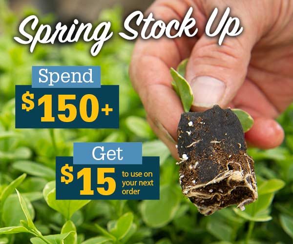 Spring Stock Up Spend 150+ Get $15 to use on your next order