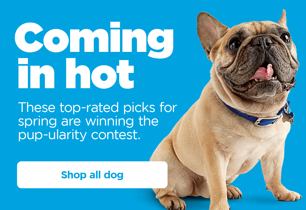 Coming in hot. These top-rated picks for spring are winning the pup-ularity contest. Shop all dog.