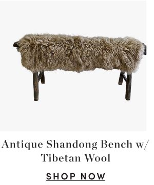 Antique Shandong Bench