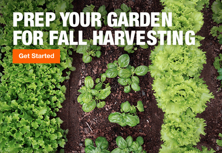 PREP YOUR GARDEN FOR FALL HARVESTING