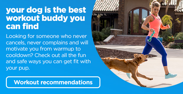 Your dog is the best workout buddy you can find. Looking for someone who never cancels, never complains and will motivate you from warmup to cooldown? Check out all the fun and safe ways you can get fit with your pup. Workout recommendations. 