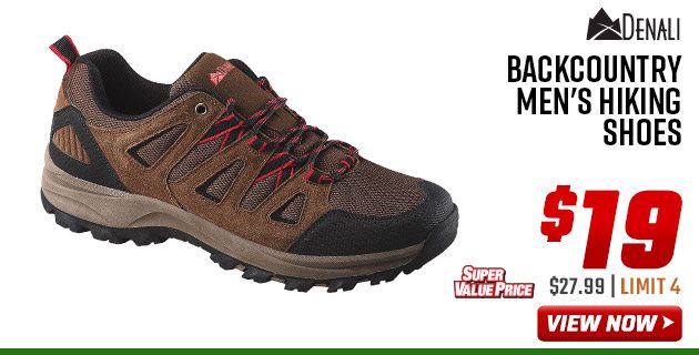 Denali Backcountry Men's Hiking Shoes