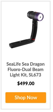 SeaLife Sea Dragon Fluoro-Dual Beam Light Kit, SL673 - Shop Now