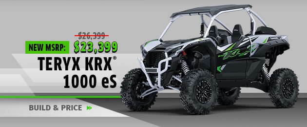  Teryx KRX® 1000 eS