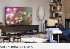 Shop Living Room