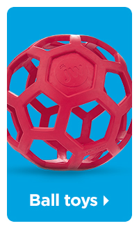 Shop ball toys >