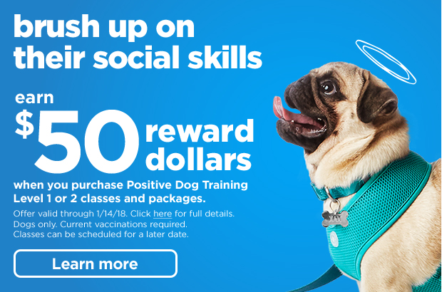 Brush up on their social skills. Earn $50 Reward Dollars when you purchase Positive Dog Training Level 1 or 2 classes and packages. Learn more >