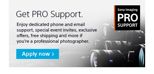 Get PRO Support. Apply now