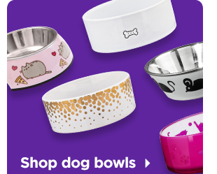 Shop dog bowls >