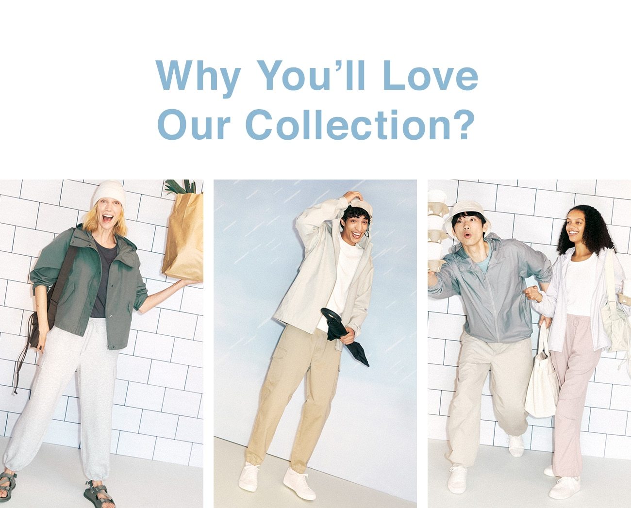 why you'll love our collection?