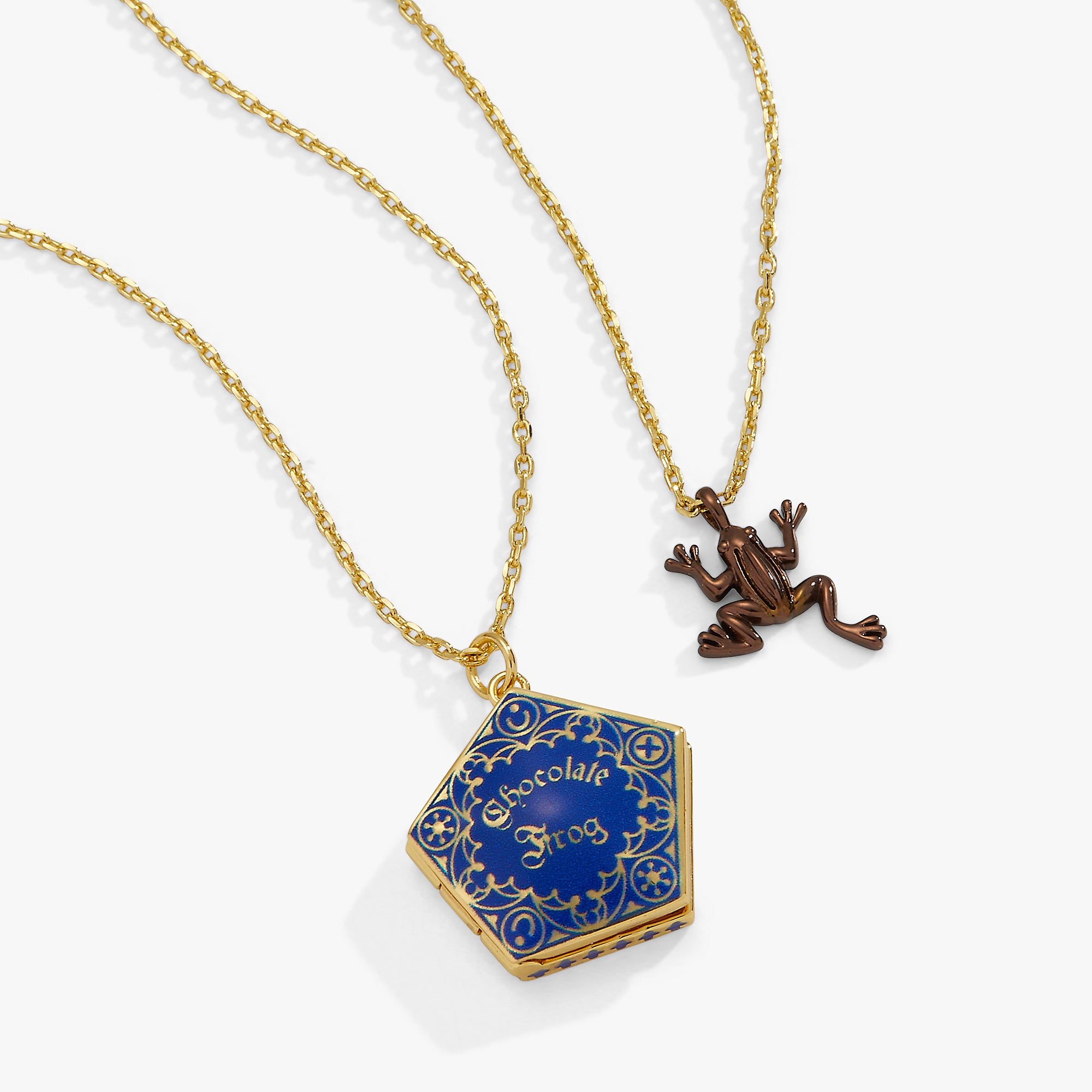 Image of Harry Potter™ Chocolate Frog Necklace Set