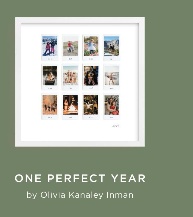 One Perfect Year