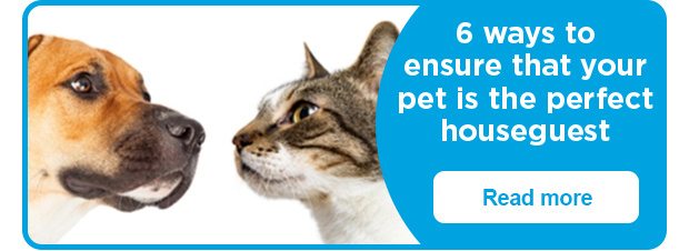 6 ways to ensure that your pet is the perfect houseguest. Read more.