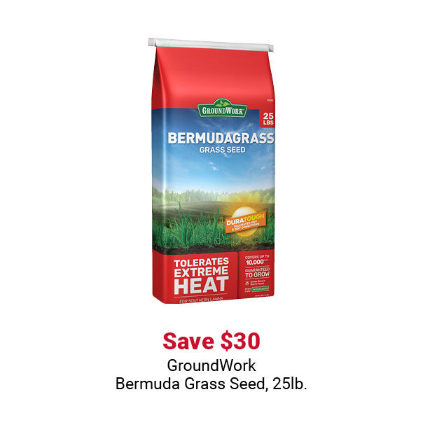 GroundWork Bermuda Grass Seed